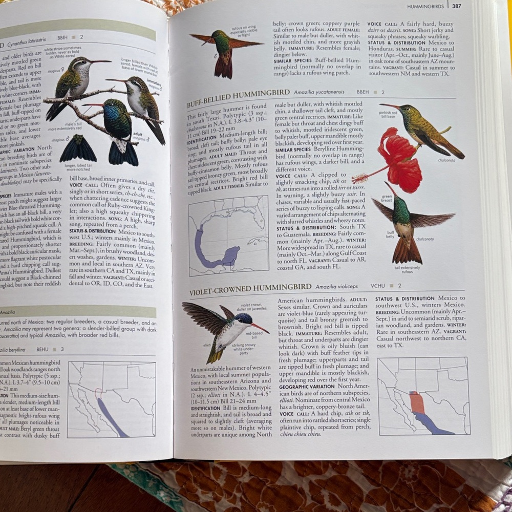 National Geographic Birds of North America - Yellow Edition - Picture 3 of 6